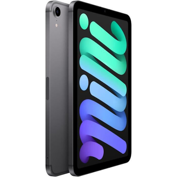 Apple - iPad mini (2021) - 8.3 WiFi + mobil - 256 GB - Space Grey