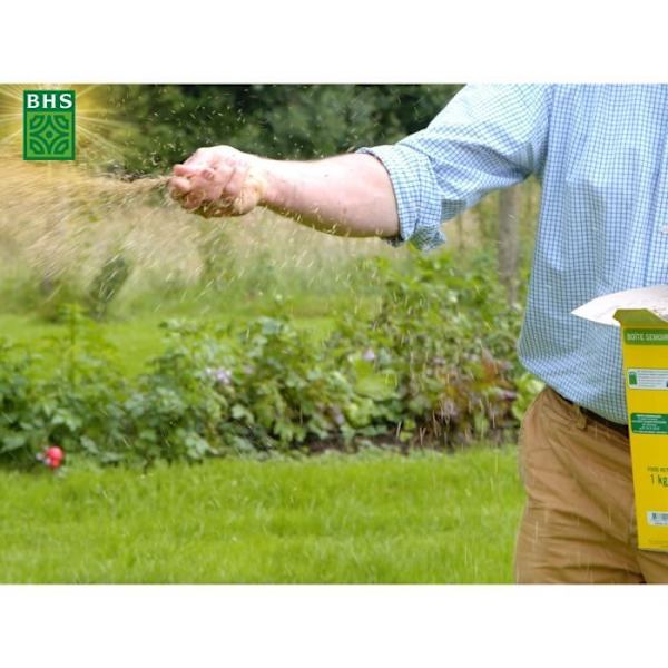 Gräsmatta - BHS - Seaside Lawn 3 kg | Resistent mot vind, torka och salt | Vacker, attraktiv och robust sommargräsmatta.