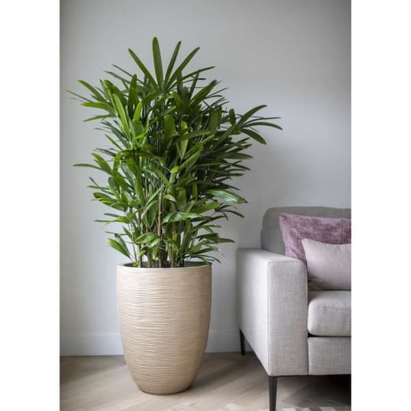 Låg elegant vas - CAPI EUROPE - WASTE RIB NL - 46 x 58 cm - Terrazzo beige