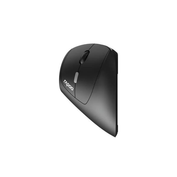 Trådlös mus - RAPOO - EV250 - Ergonomisk - 1600 DPI - Tyst klick