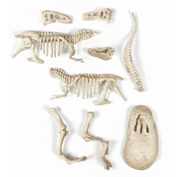 CLEMENTONI Archéo Ludic - T-Rex Phosphorescent - Science & Game