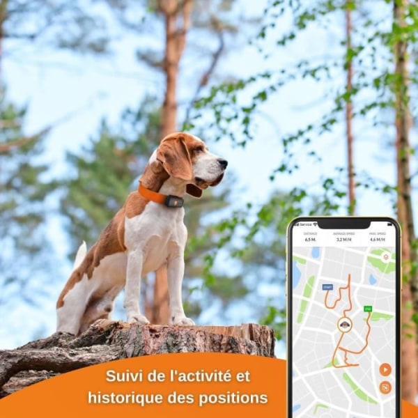 GPS Tracker for Dogs - Weenect XS (Black Edition 2023)