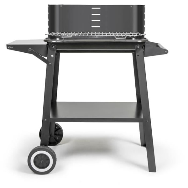 Kolgrill - LIVOO - DOC328 - Rostfritt stål