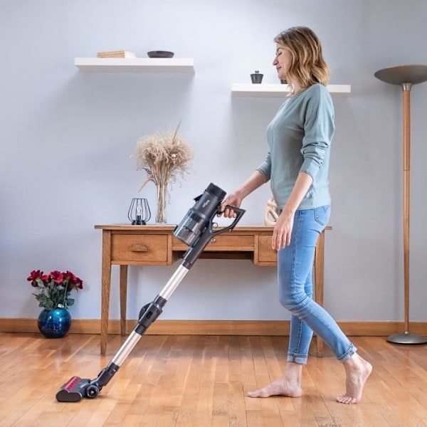 Sladdlös stickdammsugare - EZICLEAN Cycloboost FR15 Animal Made in France - 450 W - 80 min - 30 kPa - Svart