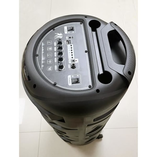 Karaokehögtalare - INOVALLEY - Lysande - 1000 Watt - Bluetooth V5.0 - Batteritid 2 till 3 timmar - Trådlös mikrofon ingår