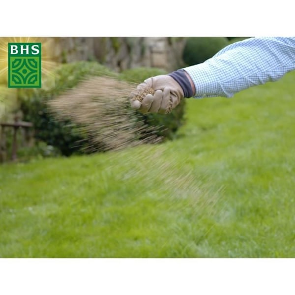 Torr Ground Replenishment Lawn - BHS - 1kg | 40 m² | Stark och hållbar, med utmärkt hållbarhet och tolerans mot tramp.