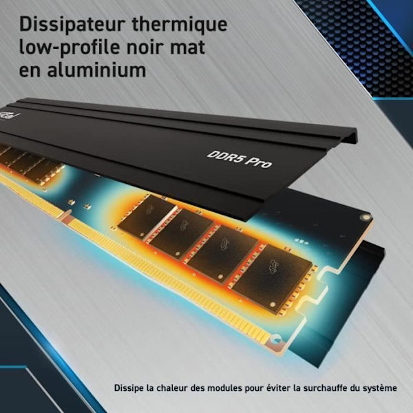 RAM-minne - CRUCIAL - PRO DDR5 - 64GB (2x32GB) - DDR5-5600 - UDIMM CL46 (CP2K32G56C46U5)