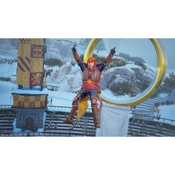 Harry Potter: Champions of Quidditch  spel till PS4  Deluxe Edition