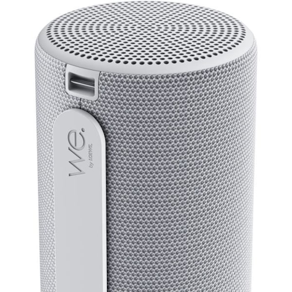 LoeWE - We. HEAR 2 Trådlös Bärbar Högtalare - Bluetooth - 60W - IPX6 - 17 timmars Batteritid - Kall Grå