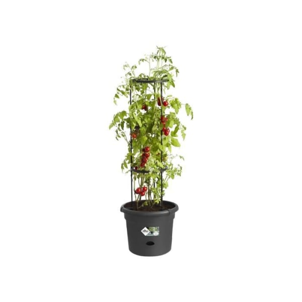 ELHO Green Basics tomatkruka - 33 cm - Ljus svart