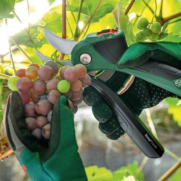 EasyPrune sladdlös beskärare - Bosch