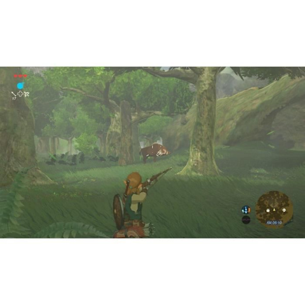 The Legend of Zelda: Breath of the Wild Switch Game