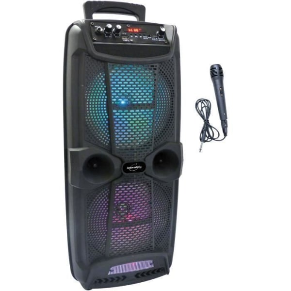 INOVALLEY KA20 Bluetooth lysande karaokehögtalare - 800W - USB/Micro SD/AUX-IN/DC-port