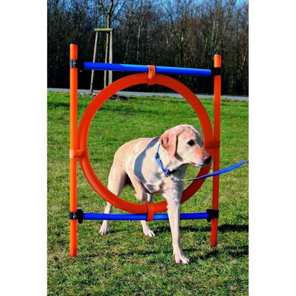 TRIXIE Agilitybåge för hundar 115 x 3cm plast