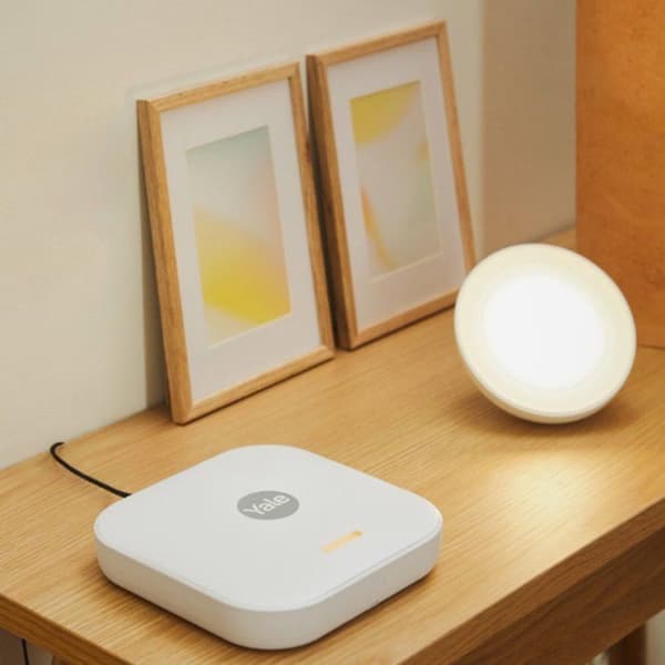 Utomhussiren - YALE - För smart larm - 100 dB och blinkande LED-lampor - Grå