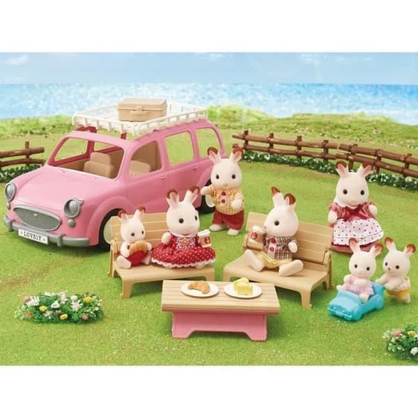 Den rosa minibussen och picknickuppsättningen