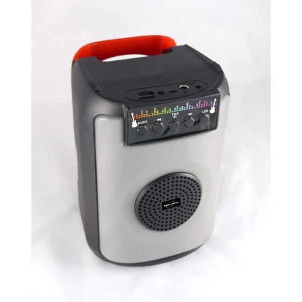 INOVALLEY FIRE01 - Karaoke högtalare - Bluetooth V5.0 - 40 W