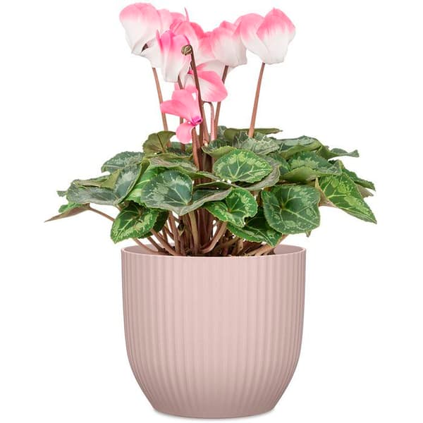 Rund blomkruka - DEROMA - 231 - 7 L - Ø 24 cm - Rosa