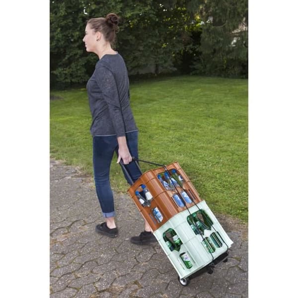 MEISTER Mini vikbar vagn 45 kg