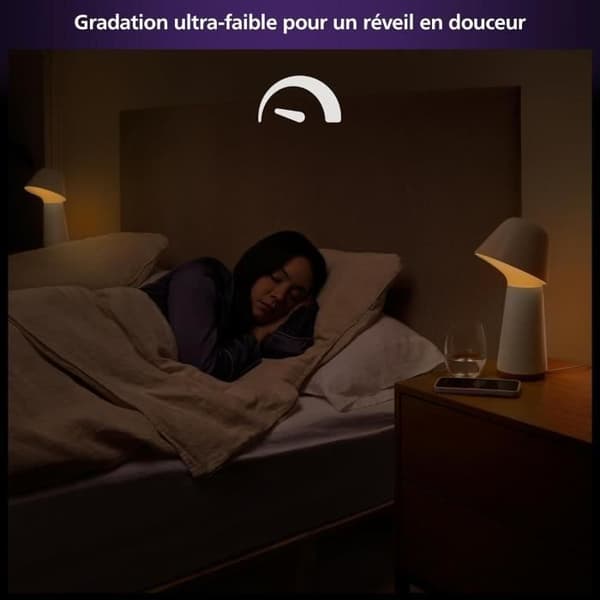PHILIPS Hue W ansluten lampa