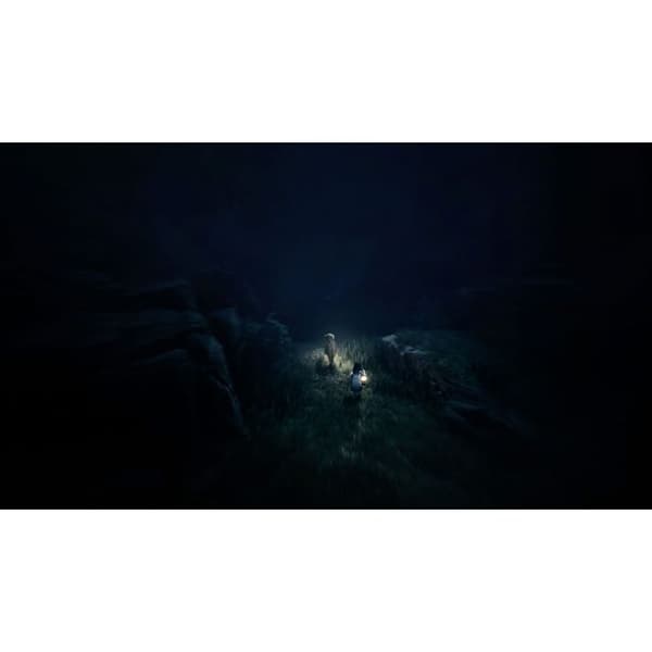 Reanimal - Deluxe Edition - PC-spel