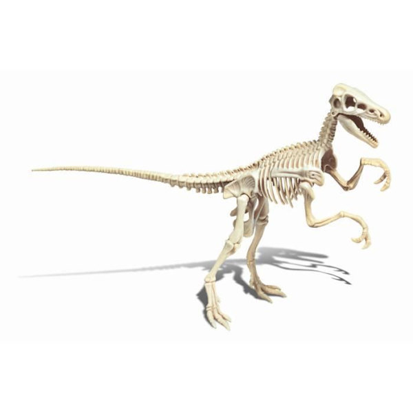 CLEMENTONI Science & Game - Archéo Ludic Vélociraptor - Vetenskapligt spel