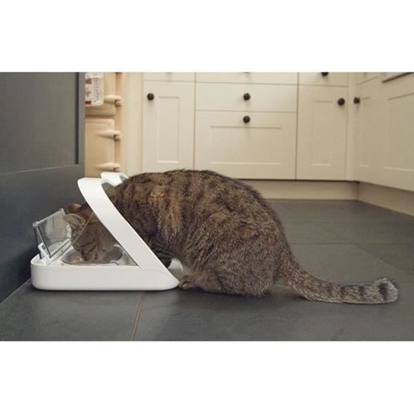 SUREFEED Vit elektronisk matmat för katter och hundar - för torrmat eller våt mat