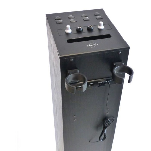 Inovalley HP49CD - Bluetooth ljudtorn - CD-spelare och karaokefunktion - 100W - FM-radio - USB-port - Aux-ingång - Svart