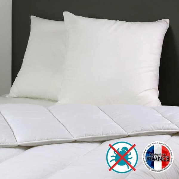 DODO Set med 2 Anti-Mite Kuddar Belle Nuit 60x60 cm vit