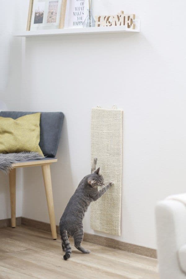 Klösträ - KERBL - Kevin - Beige - 100 × 56 cm