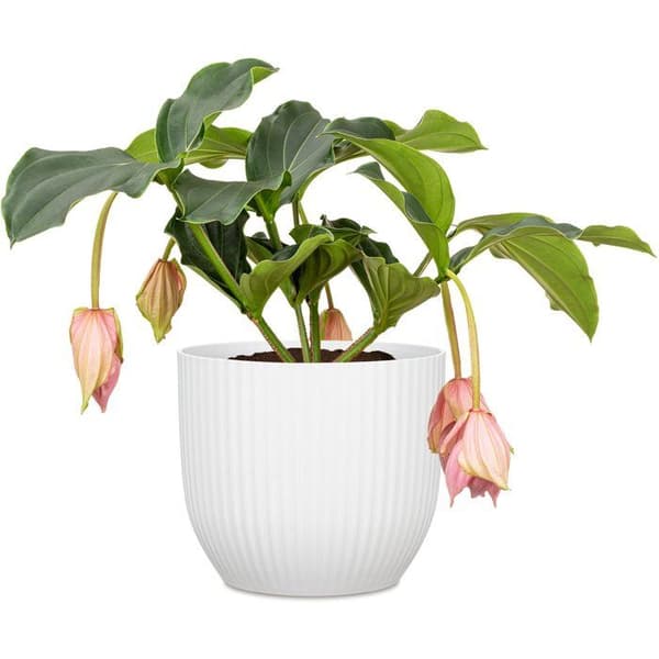 Rund blomkruka - DEROMA - 231 - 10 L - Ø 27 cm - Vit