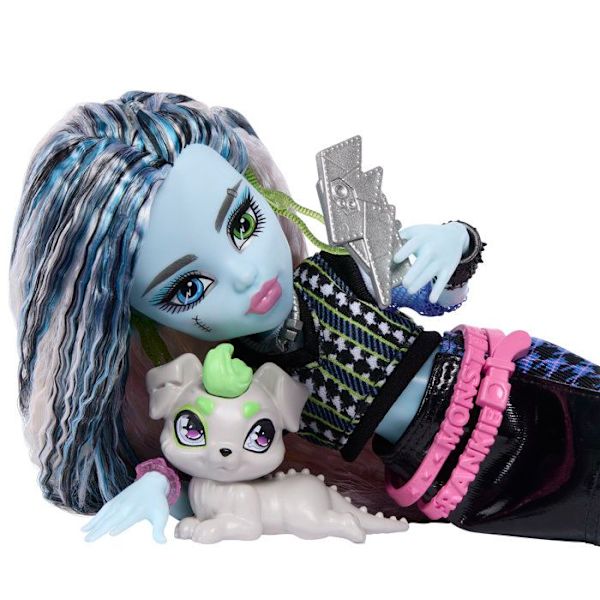 Frankie - Monster High - JHK31