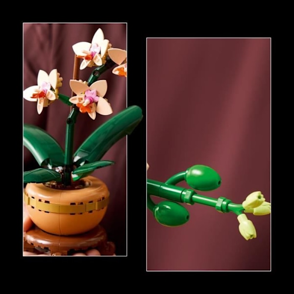 LEGO Botany 10343 Orchid Miniature - Konstgjorda blommor - Presentidé för kvinnor