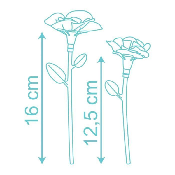 Blomma Set