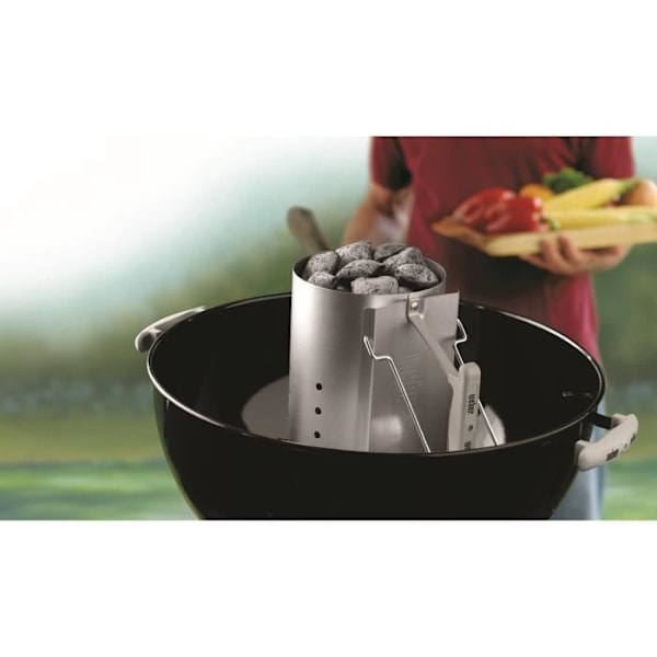 WEBER Rapidfire-tändningskorstensats - Med 2 kg briketter + 6 eldstartkuber