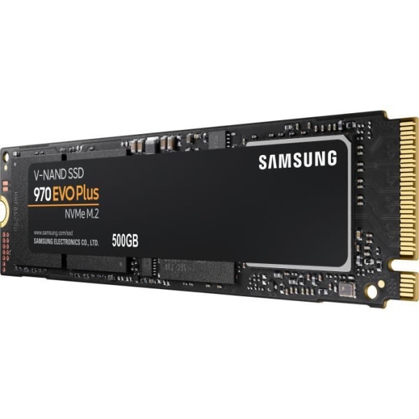 SAMSUNG - Intern SSD - 970 EVO PLUS - 500 GB - M.2 (MZ-V7S500BW)