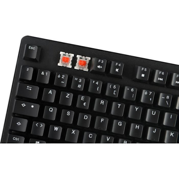 G-LAB KEYZ RUBIDIUM MEKANISK RÖD SVETCH OCH RGB-tangentbord helt anpassade med WRIST REST