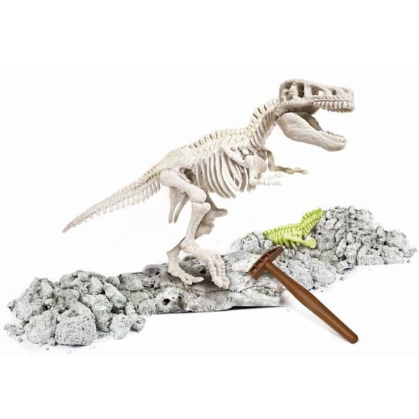 CLEMENTONI Archéo Ludic - T-Rex Phosphorescent - Science & Game