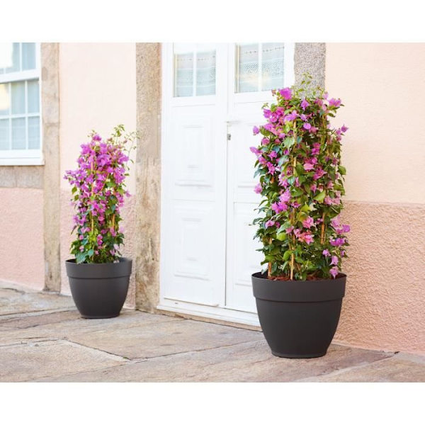 CAPRI CAMPANA 30 CM ANTRACIT