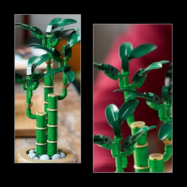LEGO Botany 10344 Lucky Bamboo - Konstgjord växt och heminredning