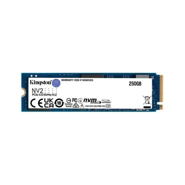 Kingston Technology hårddisk - SSD NV2 - 250 GB - M.2 2280 PCIe 4.0 NVME - BLEU