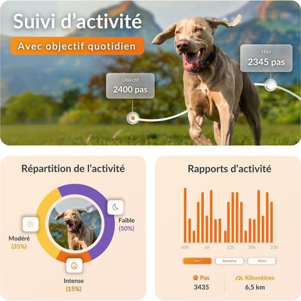 WEENECT GPS-hundspårare utan halsband - Dog XT - XL-antenn - Vattentät - Kräver prenumeration