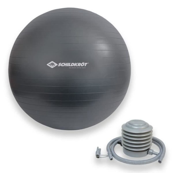 Schildkrot Fitness Träningstillbehör Schildkrot Träningsboll 75 cm - 4000885601572