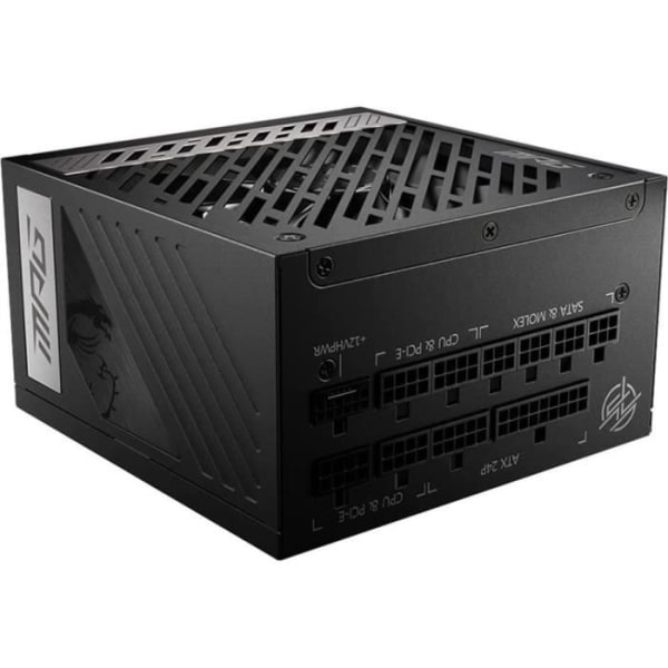 Power Block - MSI - MPG A850G PCIE5 - 850V - 50 ~ 60 Hz