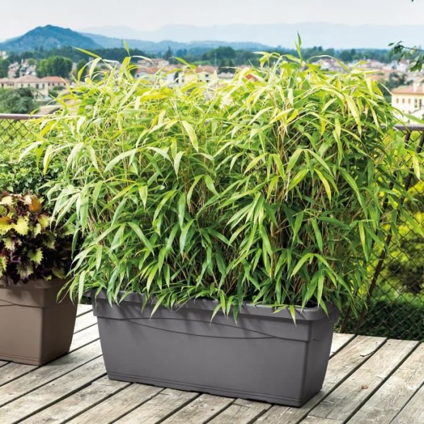 DEROMA Rektangulär planter Day R antracit - 80 cm