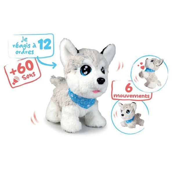 CCL HUSKY INTERAKTIVT