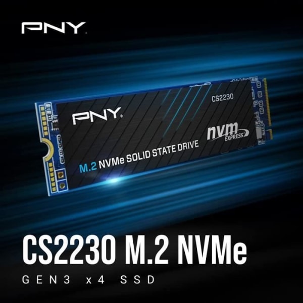 Intern hårddisk SSD - M2 - NVME - 1 TB - PCIe - CS2230