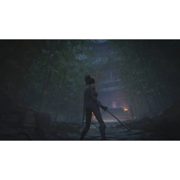 WUCHANG: Fallen Feathers  PS5-spel