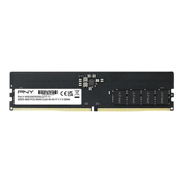 DDR5-minne - PNY - PRESTANDA - 16 GB - 4800 MHz - Reducerad energi