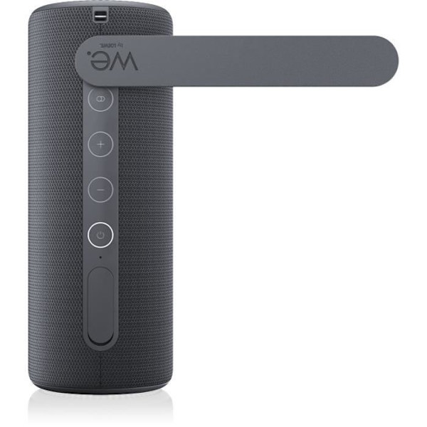 LoeWE bärbar trådlös högtalare - We. HEAR 1 - Bluetooth - 40W - IPX6 - 14 timmars batteritid - Stormgrå